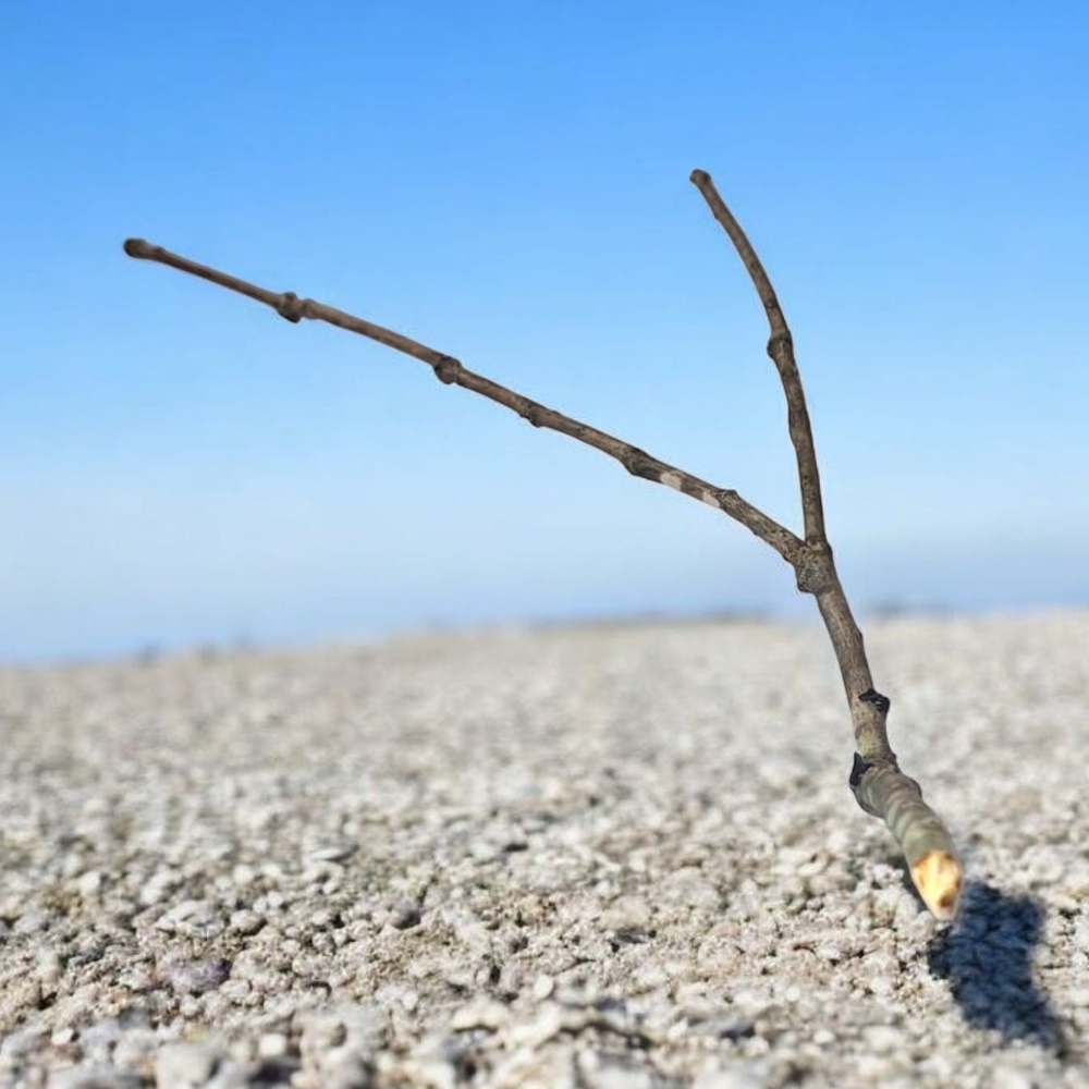 ITS A STICK!